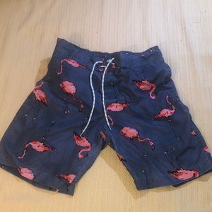 Flamingo Swimtrunks